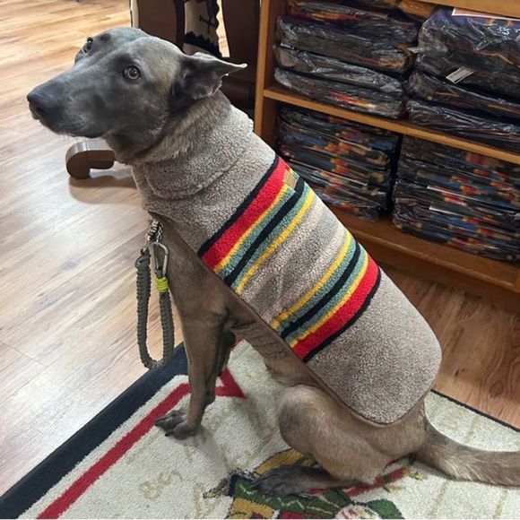 Pendleton Dog Pendleton Yakima Camp Petcoat Size Xl Poshmark